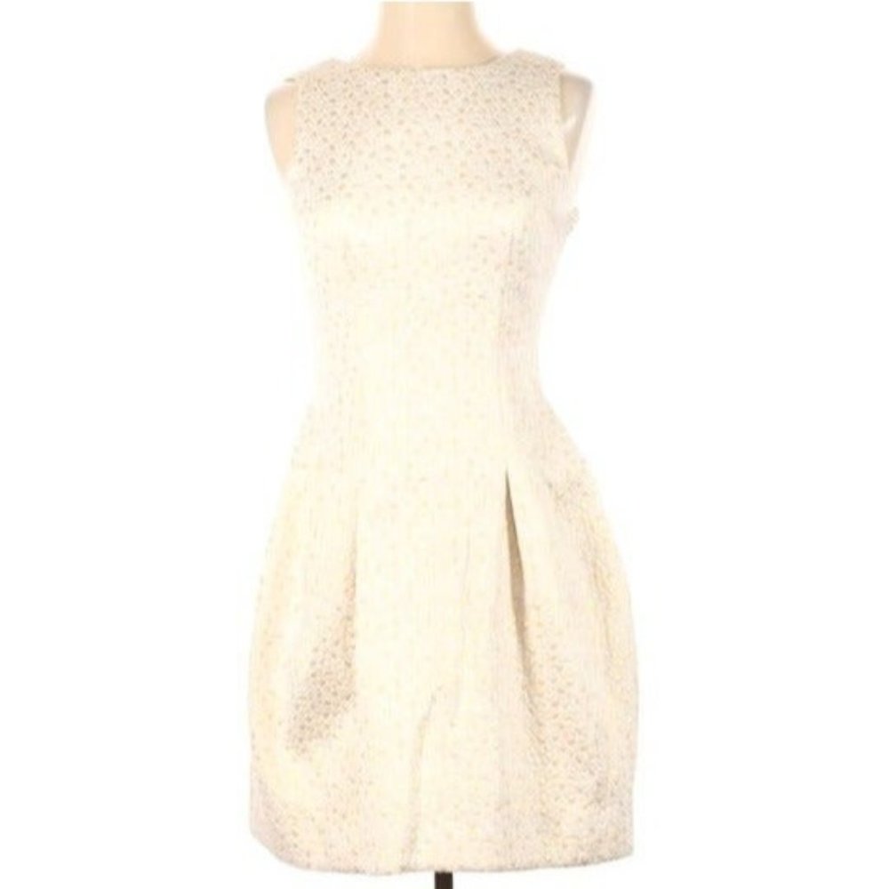 Cynthia Steffe Pleated Tapestry Dress 4